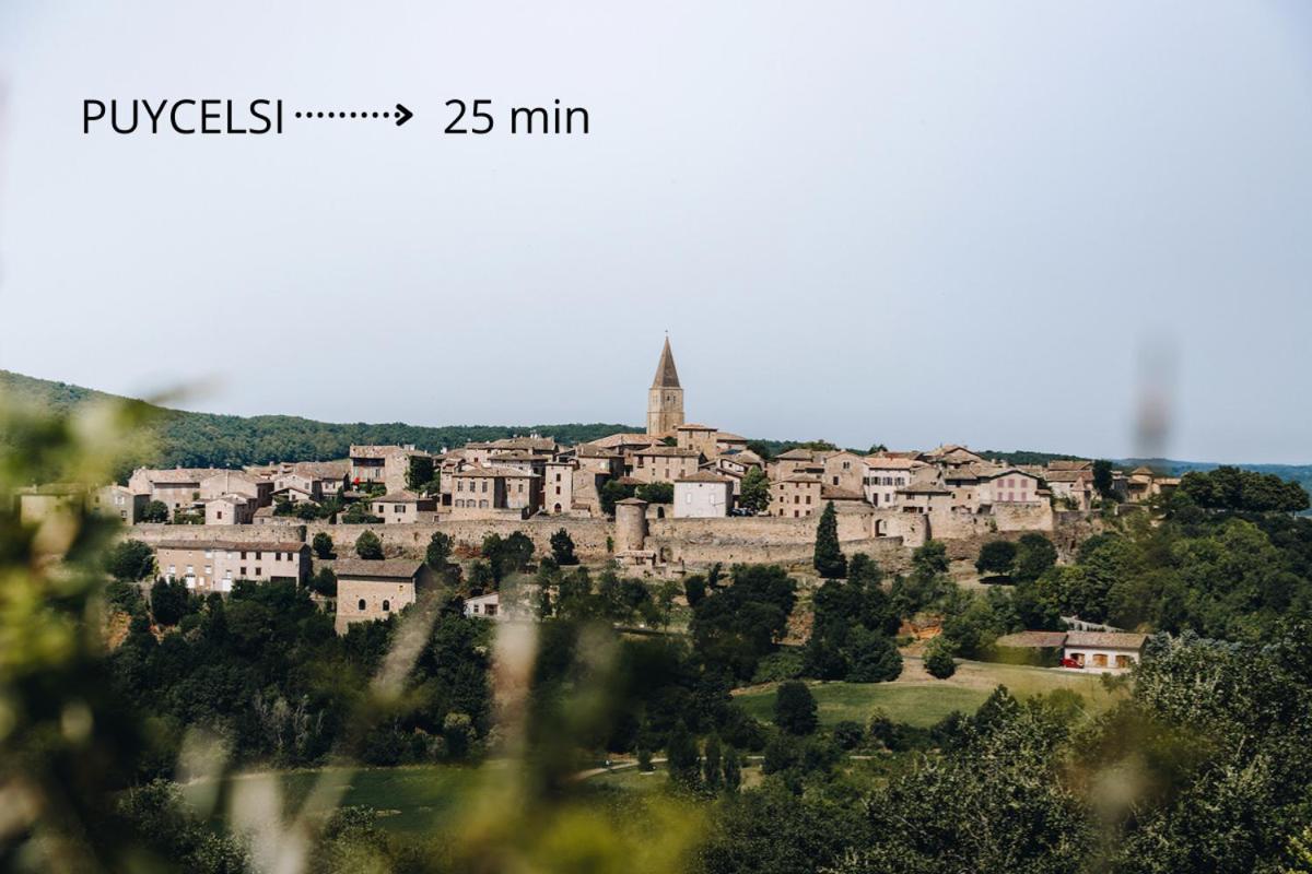 Jolie Maison - Calme - Jardin - Gaillac Kültér fotó