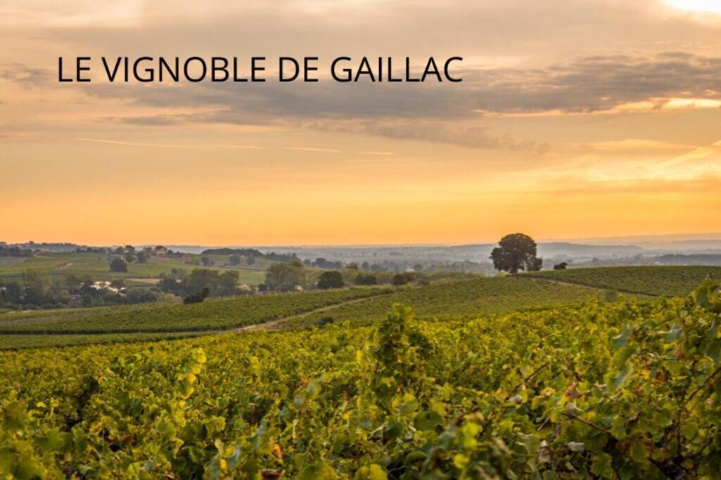 Jolie Maison - Calme - Jardin - Gaillac Kültér fotó